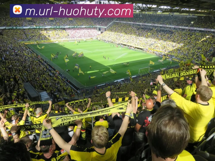 火狐体育APP 封面图